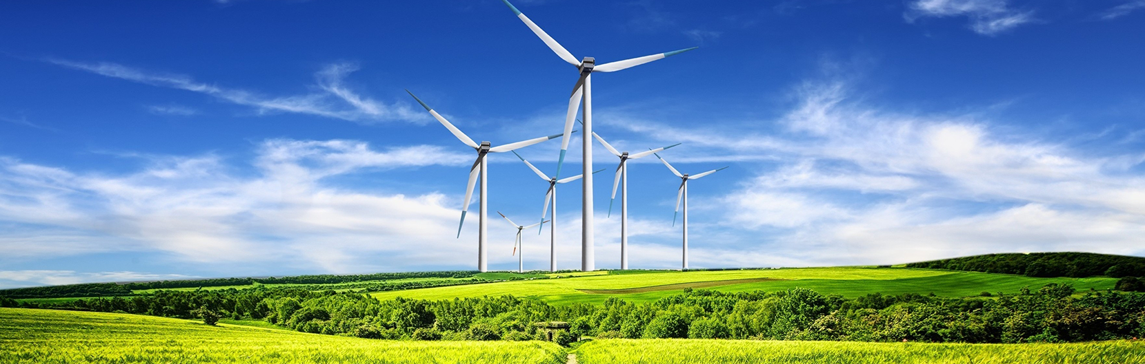 sustainable development